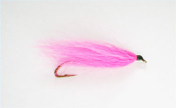 streamer